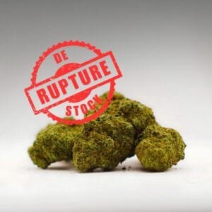 CALI ALIEN