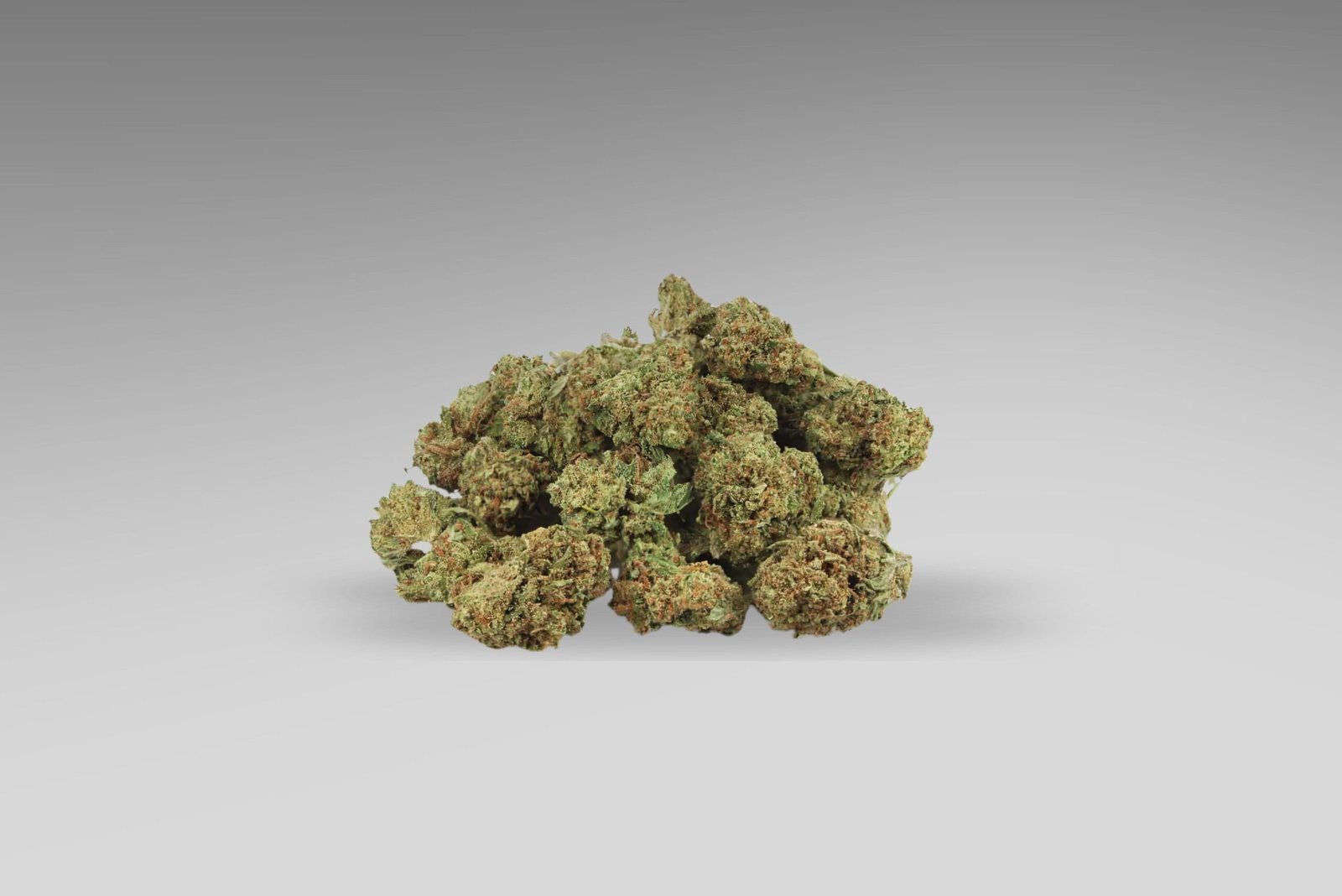 Small Bud Mango Haze