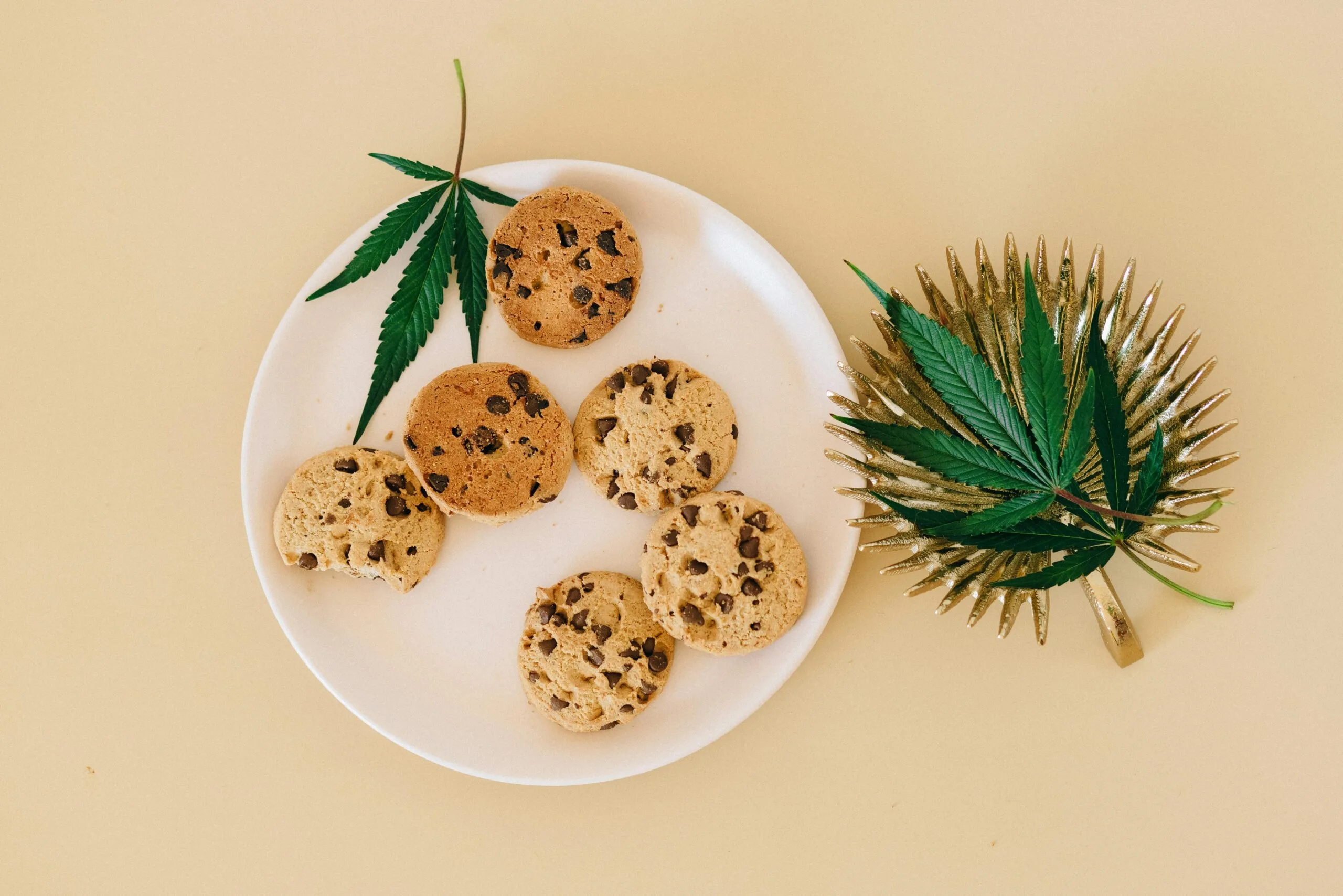 Comment intégrer le CBD à son alimentation ?