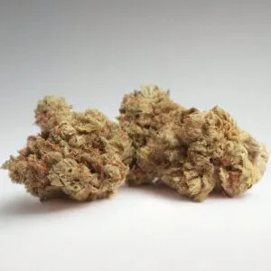 Fleur CBD MANGO HAZE MANGO HAZE