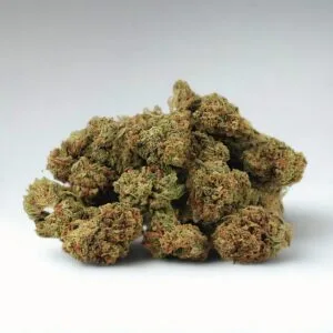 Fleur CBD du moment_ SMALL BUD MANGO HAZE Small Bud Mango Haze
