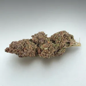 Pink Panther